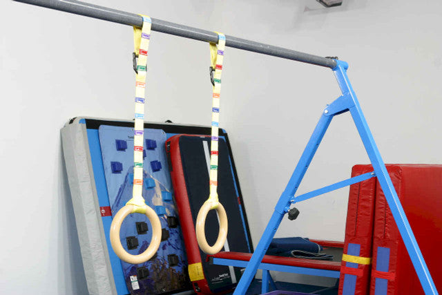 Gymnastics Rings and Straps