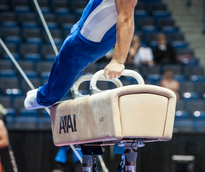 International ELITE™ Pommel Horse